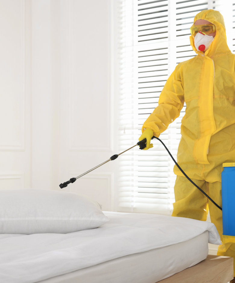 Professional Pest Control Team in Marden